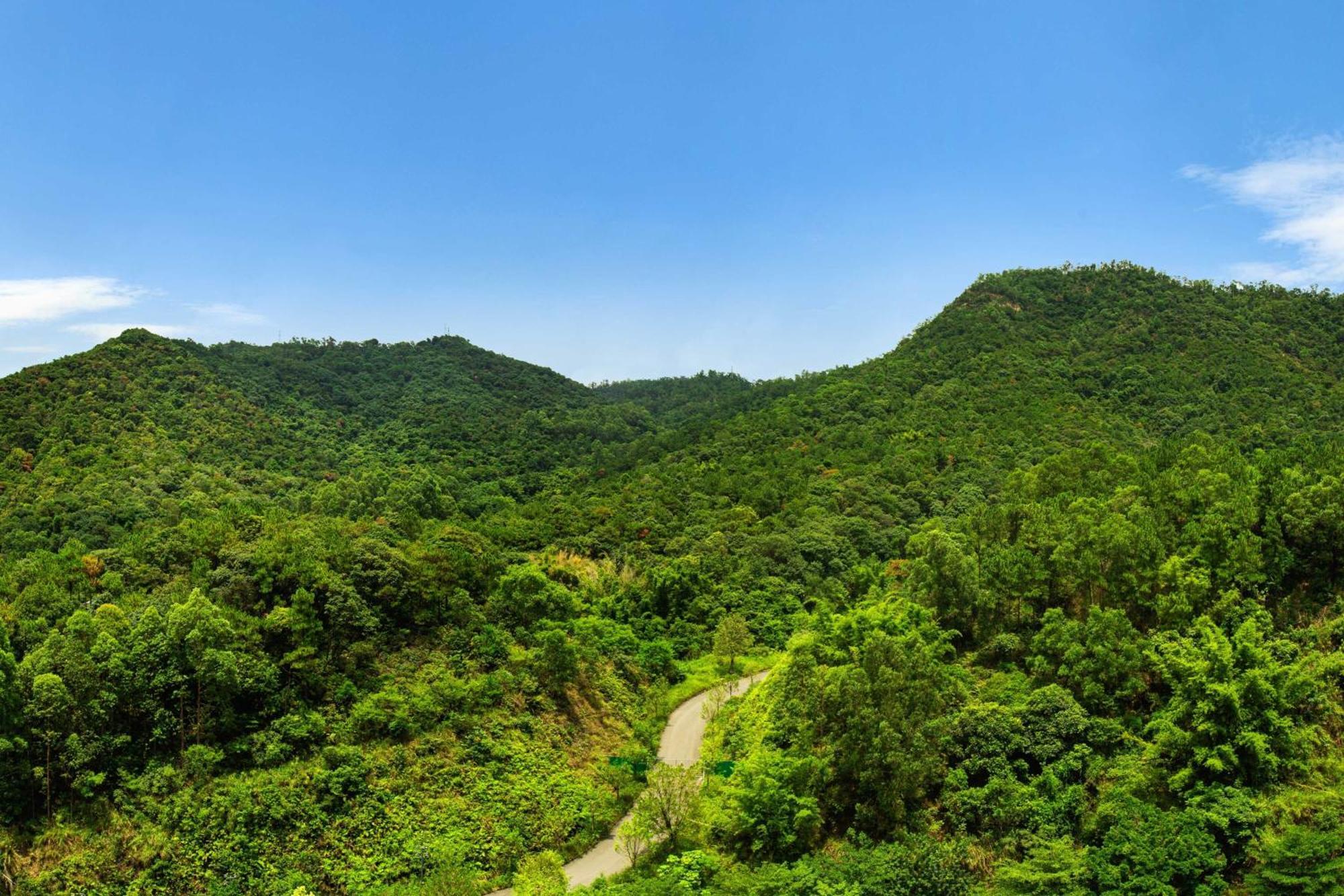 Four Points By Sheraton Guangdong, Heshan Hotel Heshan  Luaran gambar